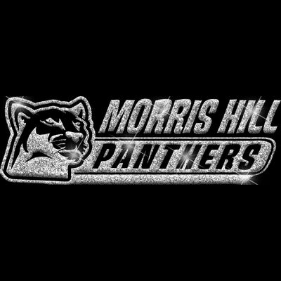 GLT102 SILVER GLITTER Thumbnail