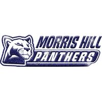 GLT102 BLUE GLITTER Thumbnail